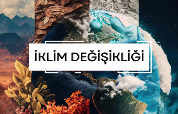 EY’den Türkiye’deki Şirketlerin İklim Değişikliğiyle Mücadeledeki Duruşunu Ele Alan Önemli Araştırma